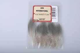 Teal Barred Flank - Wapsi