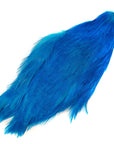 Chinese Cock Cape Doctor Blue Veniard Australia