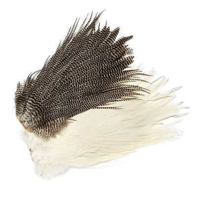 Genetic Saddle Grizzly White Veniard Australia