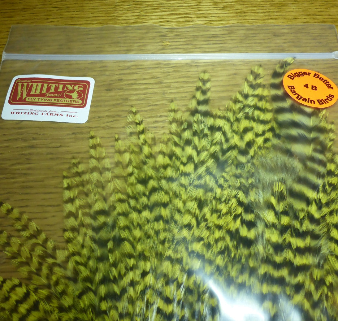 Whiting 4 B's Rooster Saddle