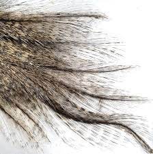 CDL grizzly pardo Australia