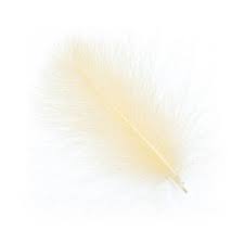 Wapsi CDC CUL-DE-CARNARD