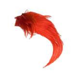 Orange Pheasant Crest Only - Wapsi Australia