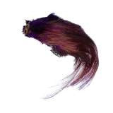 Crimson Pheasant Crest Only - Wapsi Australia