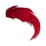 Red Pheasant Crest Only - Wapsi Australia