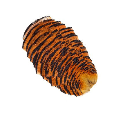 Golden Pheasant Tippet Collar - Veniard Tasmania Australia