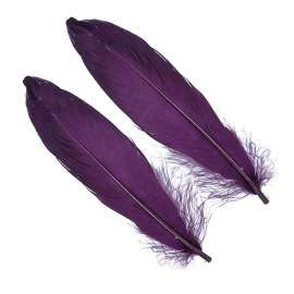 Goose Shoulder Feathers - Wapsi Australia 