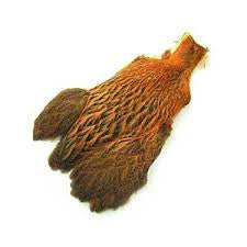 Hen Neck - Wapsi Australia 