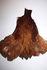 Hen Neck - Wapsi Australia 