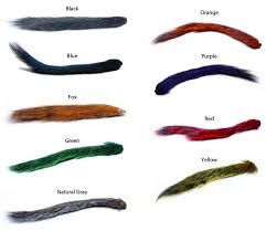 Squirrel Tail Wapsi Australia