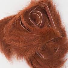 Rabbit Zonkers - Wapsi