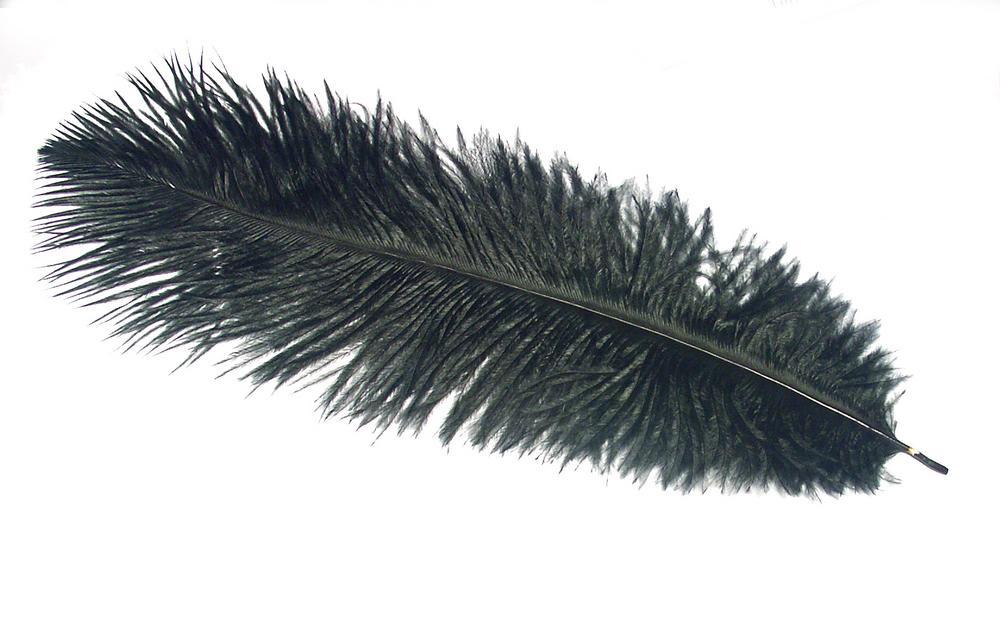 Ostrich Plumes - Wapsi Australia