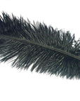 Ostrich Plumes - Wapsi Australia