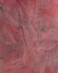 Petitjean CDC Feathers 1 Gram