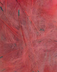 Petitjean CDC Feathers 1 Gram
