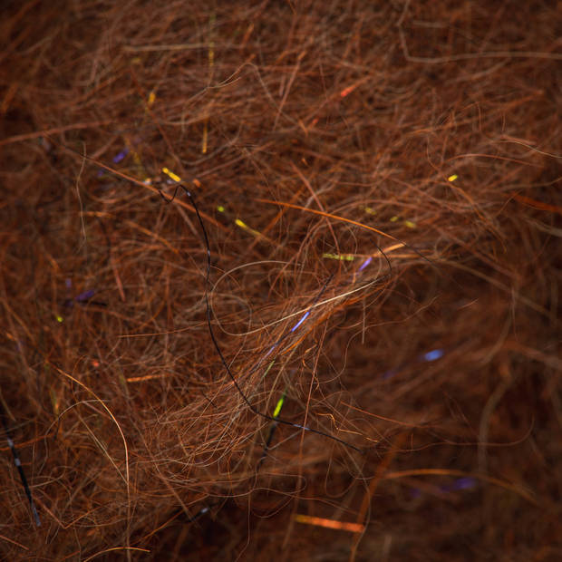 Bug Dub Hare &amp; SLF