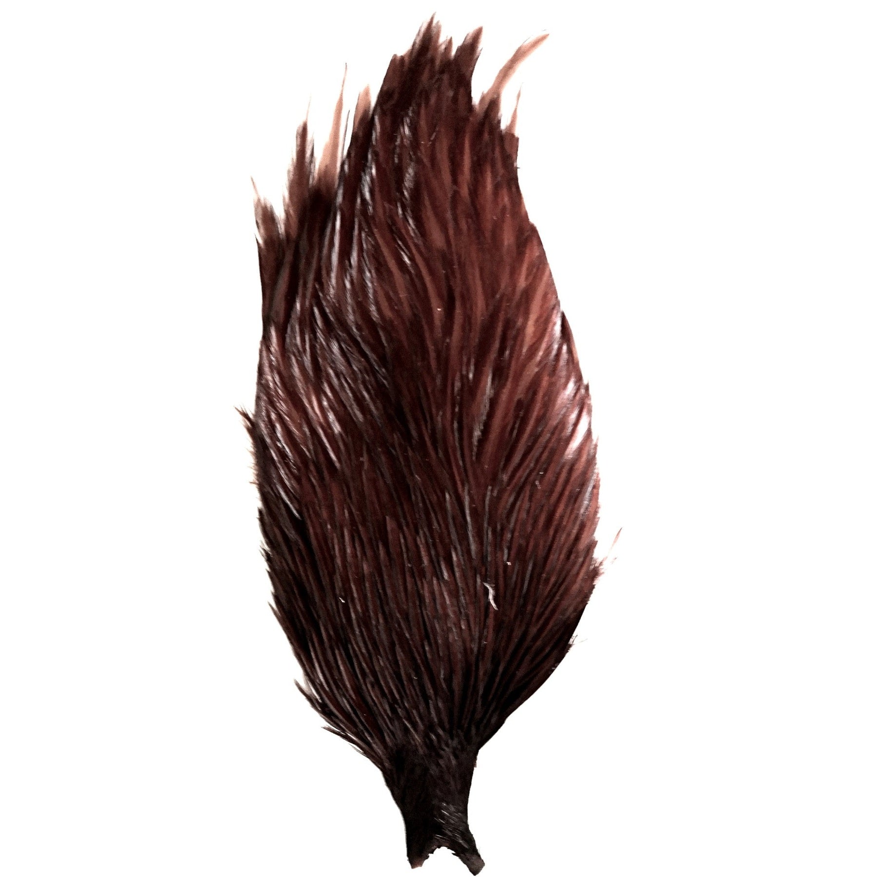 Premium Cock Neck - Veniard