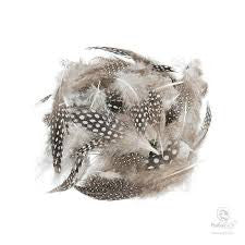 Guinea Body Feathers - Wapsi Australia
